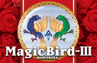 Magic Bird-V(}WbNo[h3)